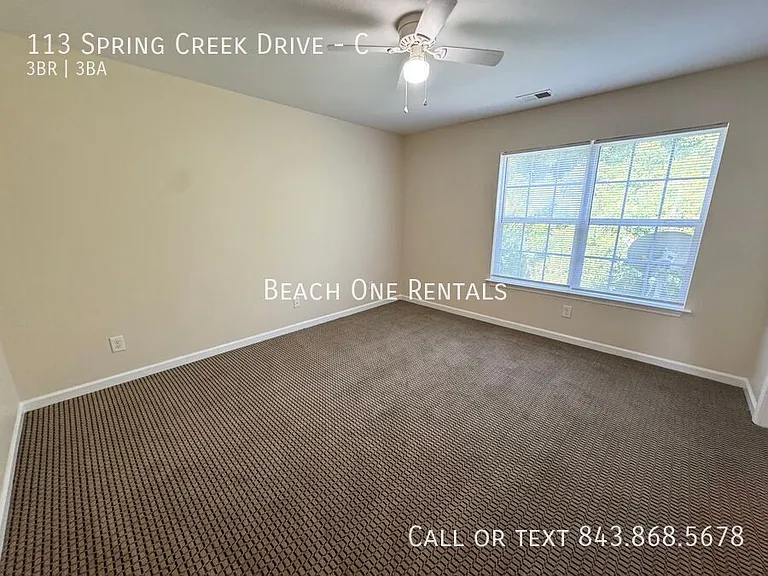 113 Spring Creek Dr #C — Photo 11