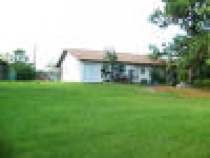Huge yard