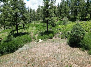 1156 Twin Buttes Ave, Durango, CO 81301