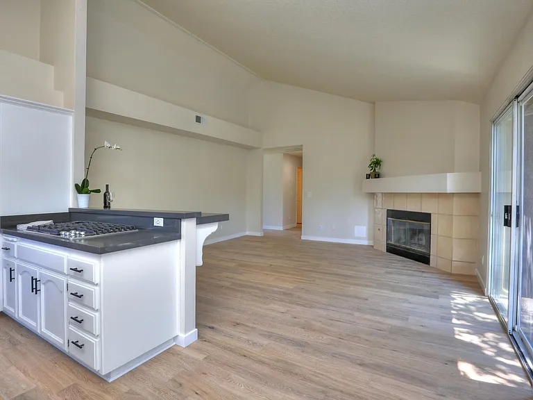 1494 Aarhus Dr — Photo 16
