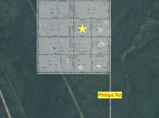 Nhn Phillips Rd, Delta Junction, AK 99737