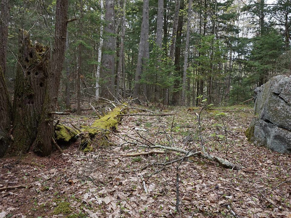2nd image of 00 Mt Ida Road #271