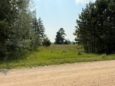 Pony Lake Rd NW, Bemidji, MN, 56601