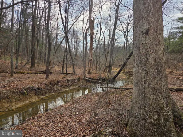 1237 Buckwheat Rd, Millerstown, PA 17062