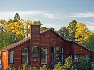 12519 County Road 261 #P, Nathrop, CO 81236