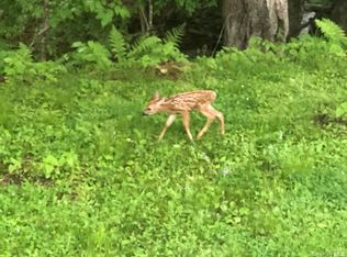 Eldred-Yulan Road, Eldred, NY 12528