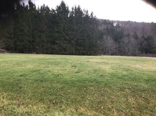 1749 Swartwood Hill Rd, Erin, NY 14838