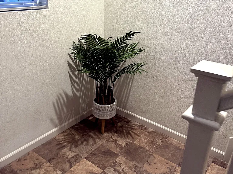 10 Scenic Point Pl — Photo 19