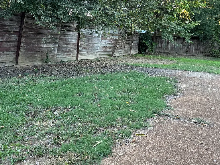 Chatwood Cv — Photo 6