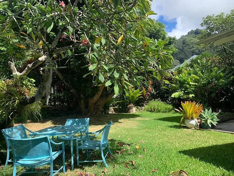 Manoa Rd — Photo 14
