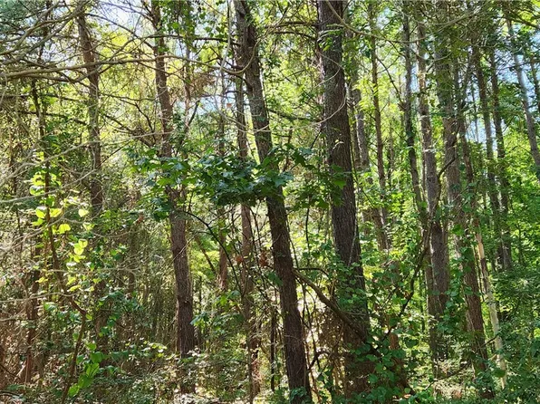 3914D Hudgins Ln Lot D, Susan, VA 23163