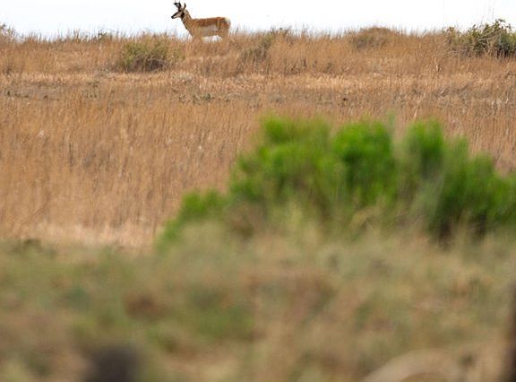 4th image of 0 CR 90 140 AC