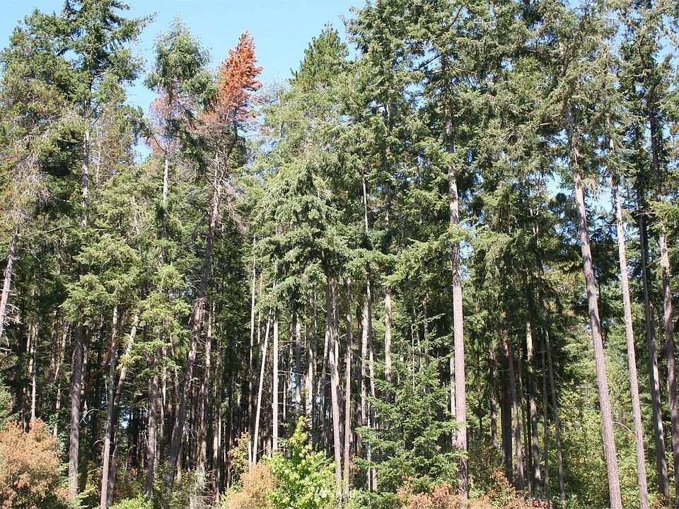 1st image of 0 XXX NE 10th Avenue