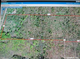 6675 E Swamp Rd, Conesus, NY 14435