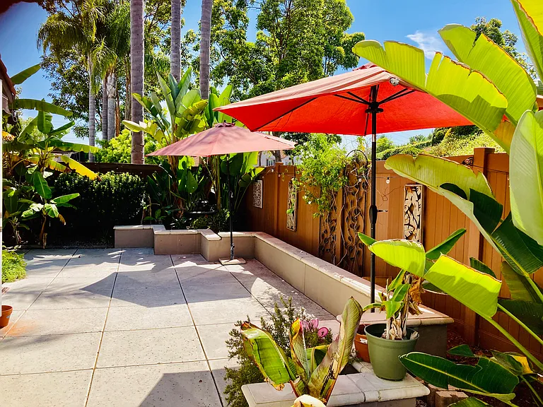 Backyard.