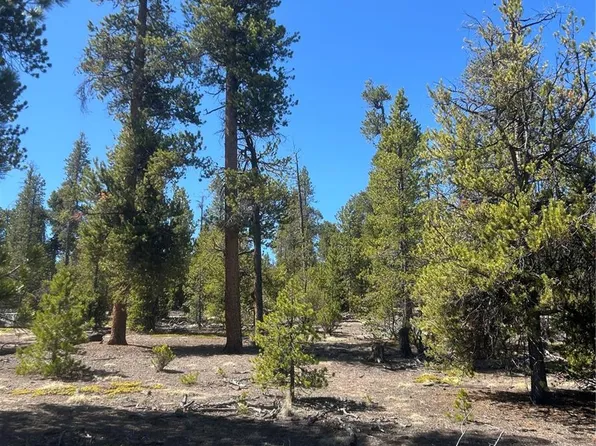 266 Ponderosa Drive LOT 14, Leadville, CO 80461