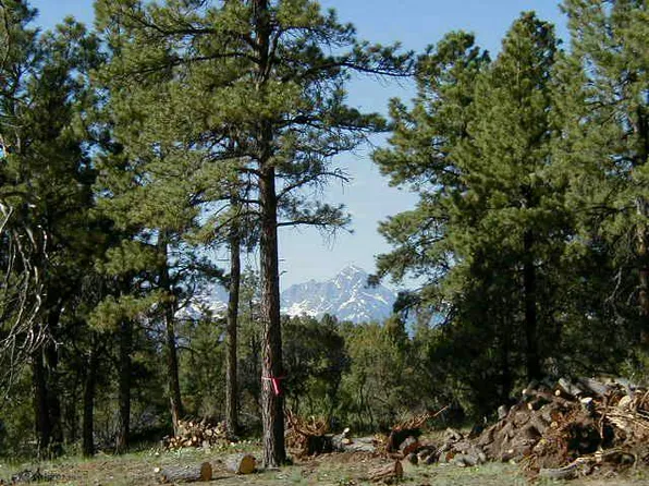 Fisher Canyon Dr, Ridgway, CO 81432