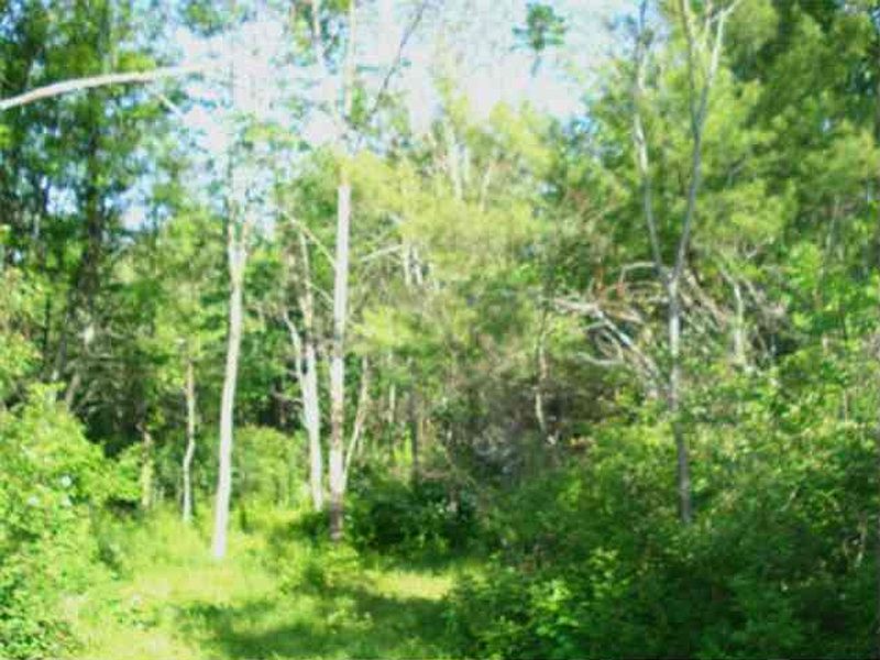 3rd image of 0 COUNTY RT 409