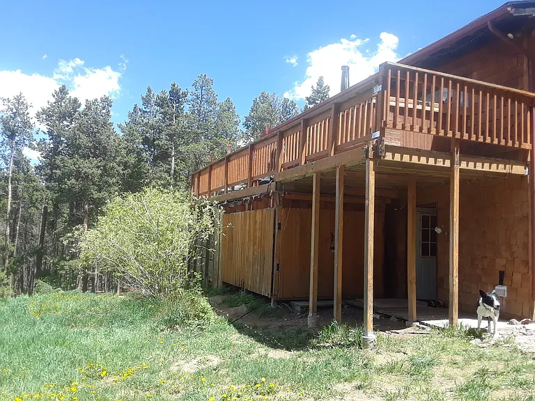 View from the fenced yard