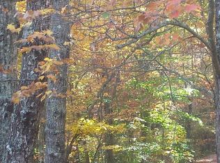 56 Fairy Cross Ln, Mineral Bluff, GA 30559