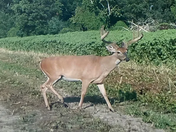 0 Highway 604, Saint Joseph, LA 71366