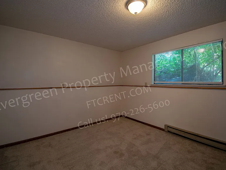 1636 E Pitkin St — Photo 11