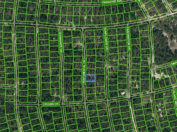 249 Sentimental Dr #8, Lake Placid, FL 33852