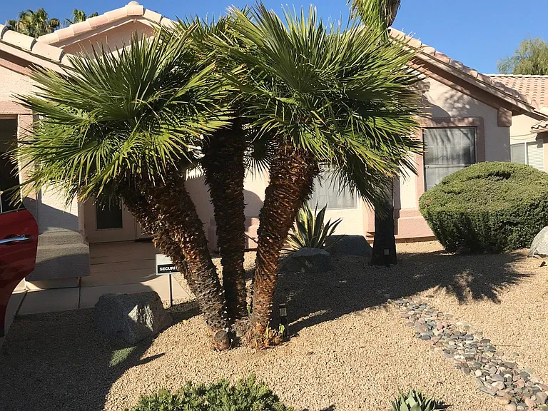 6334 W Potter Dr — Photo 2