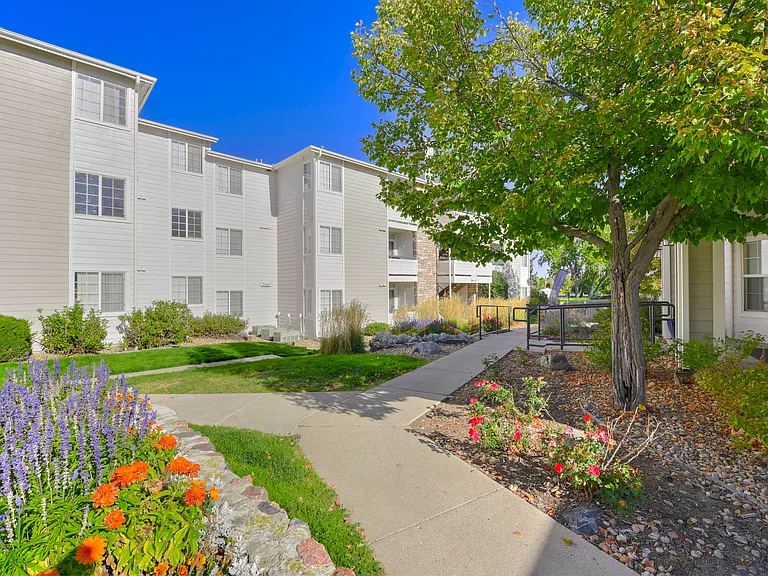 Ascent Apartments — Photo 9