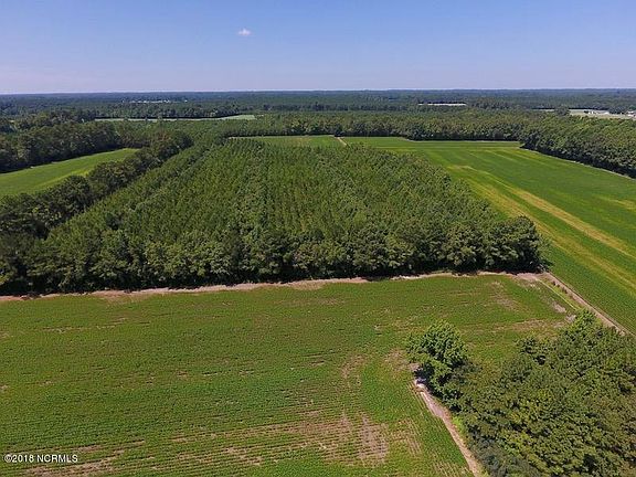 4th image of 61.43 Ac Powell Hooks Road