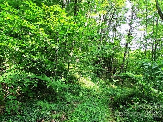 1st image of Upper Browns Creek Rd #16
