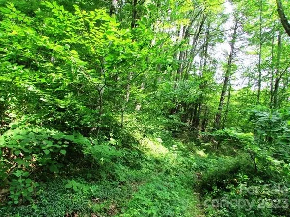 Upper Browns Creek Rd #16, Burnsville, NC 28714