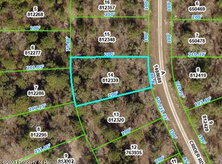 LOT 14 Crider Rd, Brooksville, FL 34614