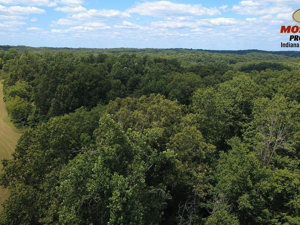 Dji Fly 20260723 134042 158 1784828493348 Photo Optimized