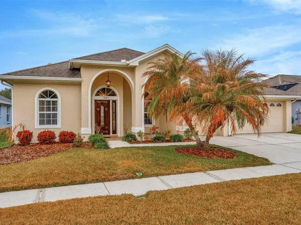 18810 Forest Glen Ct, Tampa, FL 33647