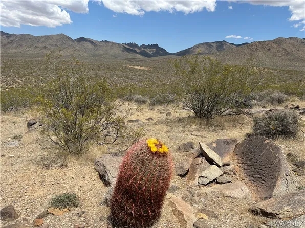 316-05-033 June Road, Dolan Springs, AZ 86441