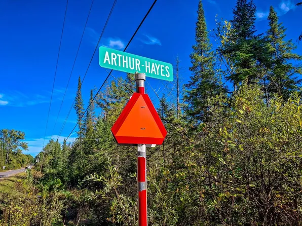 Nhn Arthur Rd, Harrison, MI 48625