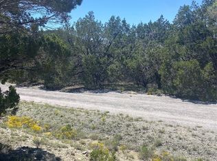 20702 Appaloosa Trl, Leander, TX 78645