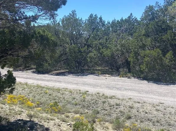 20702 Appaloosa Trl, Leander, TX 78645