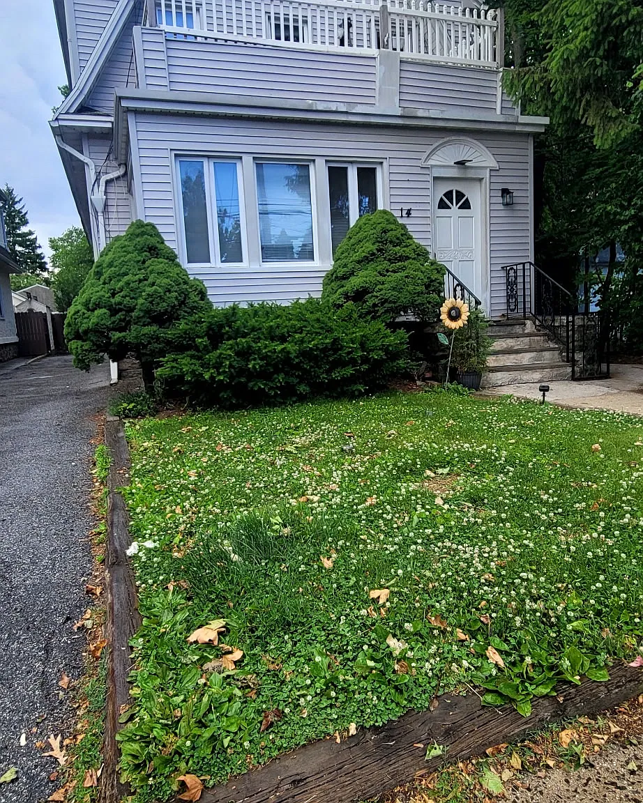 3 bed, 1600 sqft, $4,300 — Photo 1