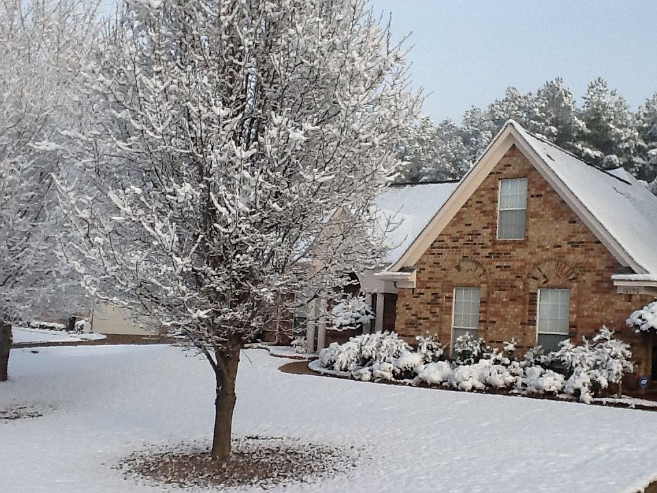 1st image of 10190 Cypress Knee Dr