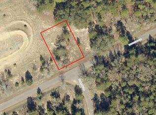 0 Fisher Run #21, Ocklawaha, FL 32179