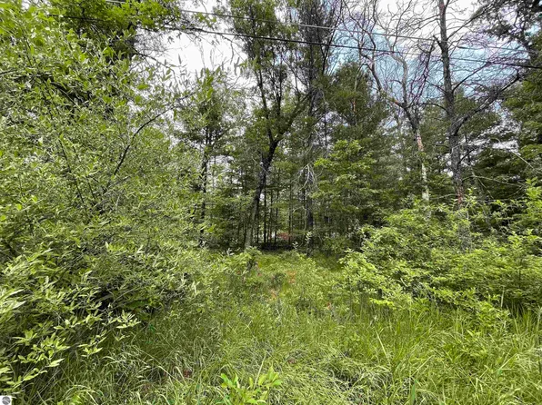 0 Maybelle St, Prescott, MI 48756