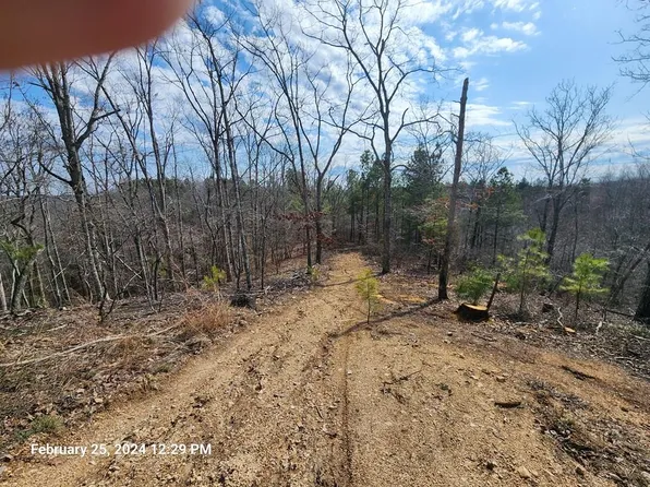 LOT Martin Cv, Holladay, TN 38341