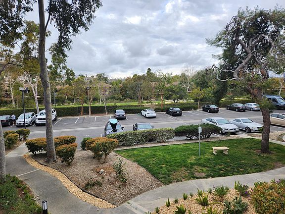 View from balcony overlooking Sycamore Trail, great for exercise or your pets.