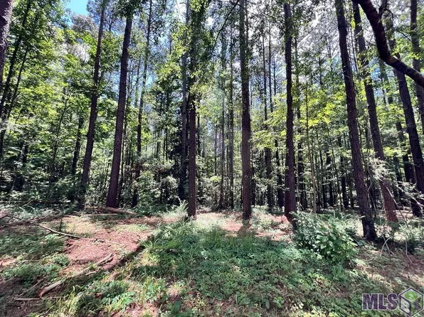 4 Lewis Ln SE, Meadville, MS 39653