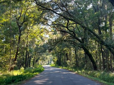 8361 Shell House Rd, Edisto Island, SC, 29438