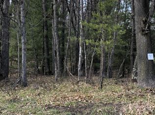 NULLH Hoxeyville Rd, Wellston, MI 49689