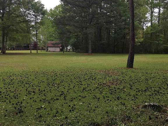 4th image of 173 McDowell Ln