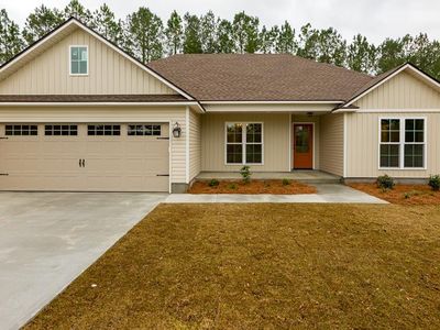 214 Beaver Ridge Rd, Ray City, GA, 31645